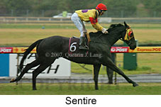 Sentire (14872 bytes)