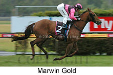 Marwin Gold (14872 bytes)