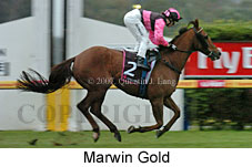 Marwin Gold (14872 bytes)