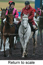 Return to scale (15361 bytes)