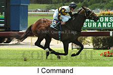 I Command (18507 bytes)