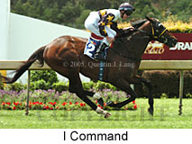 I Command (18507 bytes)