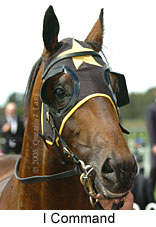 I Command (18507 bytes)