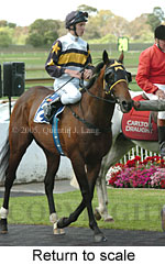 Return to scale (17769 bytes)