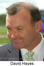 David Hayes (18507 bytes)