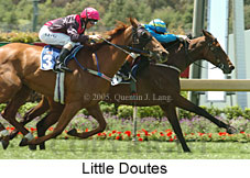 Little Doutes (18507 bytes)