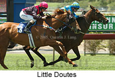 Little Doutes (18507 bytes)