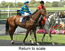 Return to scale (17769 bytes)