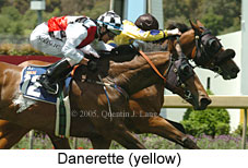 Danerette (18507 bytes)