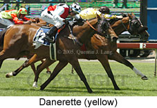 Danerette (18507 bytes)