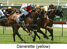 Danerette (18507 bytes)