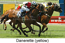 Danerette (18507 bytes)