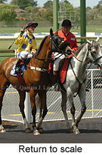 Return to scale (17769 bytes)