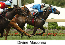 Divine Madonna (18507 bytes)