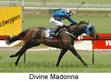 Divine Madonna (18507 bytes)