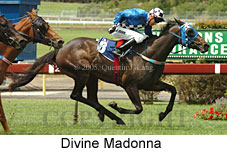 Divine Madonna (18507 bytes)