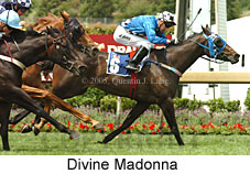 Divine Madonna (18507 bytes)