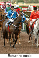 Return to scale (17769 bytes)