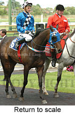 Return to scale (17769 bytes)