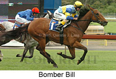 Bomber Bill (18507 bytes)