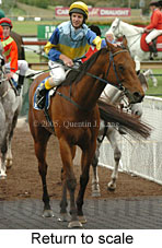 Return to scale (17769 bytes)