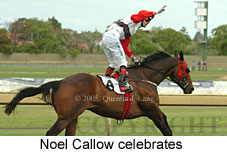 Noel Callow (17769 bytes)