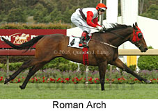 Roman Arch (17555 bytes)