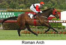 Roman Arch (18507 bytes)