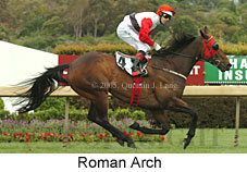 Roman Arch (18507 bytes)