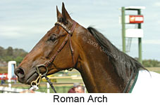 Roman Arch (18507 bytes)