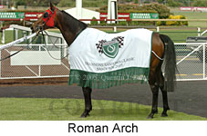 Roman Arch (18507 bytes)