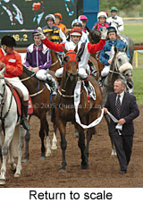 Return to scale (17769 bytes)