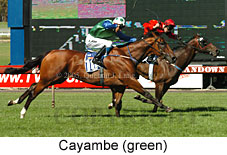 Cayambe (18507 bytes)