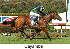 Cayambe (18507 bytes)