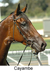 Cayambe (18507 bytes)