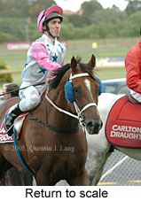 Return to scale (17769 bytes)