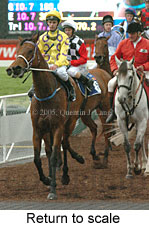 Return to scale (17769 bytes)