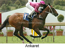 Ankaret (18507 bytes)