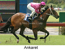 Ankaret (18507 bytes)