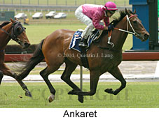 Ankaret (18507 bytes)