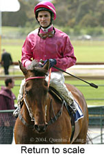 Return to scale (17769 bytes)