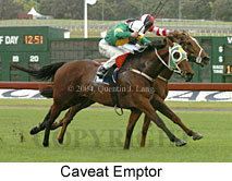 Caveat Emptor (18507 bytes)