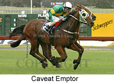 Caveat Emptor (18507 bytes)