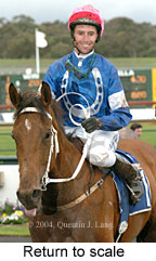 Return to scale (17769 bytes)