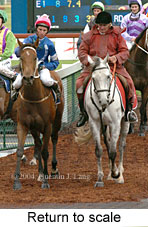 Return to scale (17769 bytes)