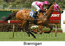 Brannigan (18507 bytes)