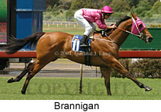 Brannigan (18507 bytes)