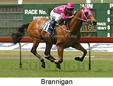 Brannigan (18507 bytes)