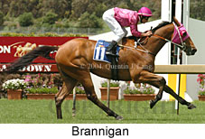 Brannigan (18507 bytes)