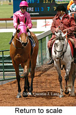 Return to scale (17769 bytes)